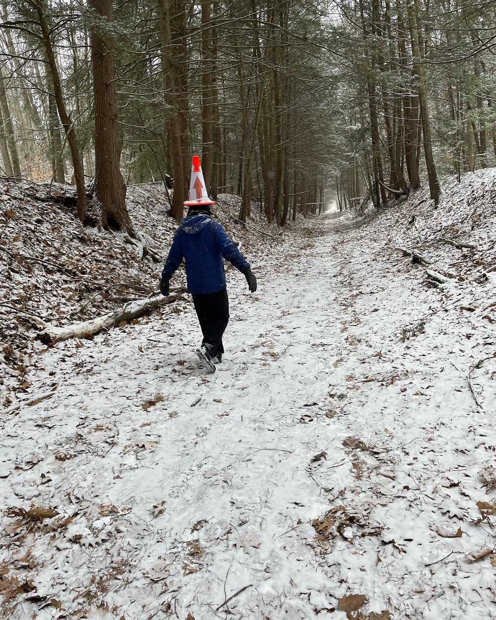a man riding skis down a snow covered forest