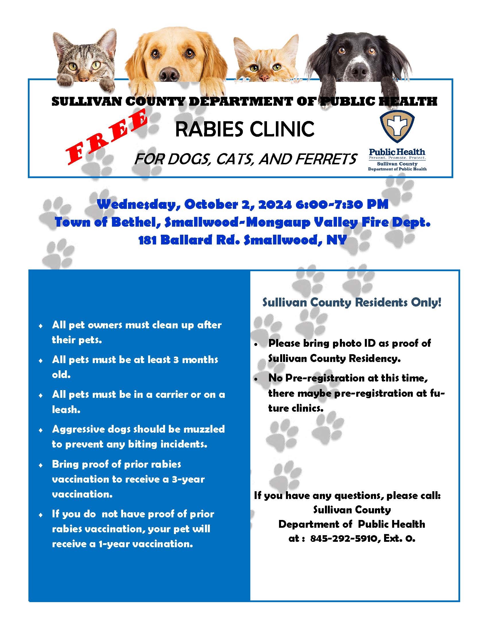 graphical user interface, text, application