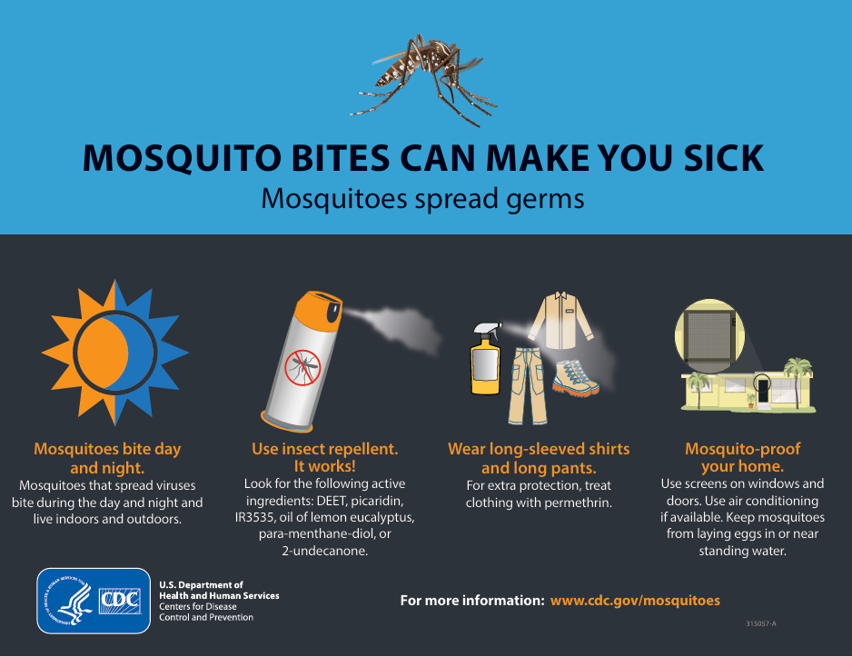 Mosquito bite infographic