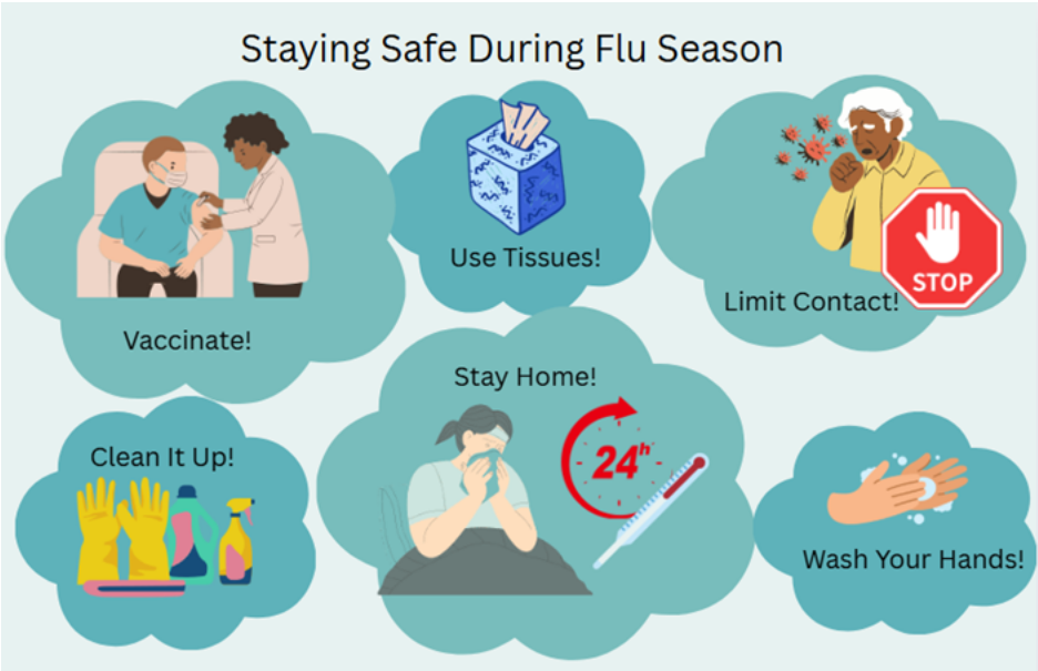 Staying Safe During Flu Season Infographic