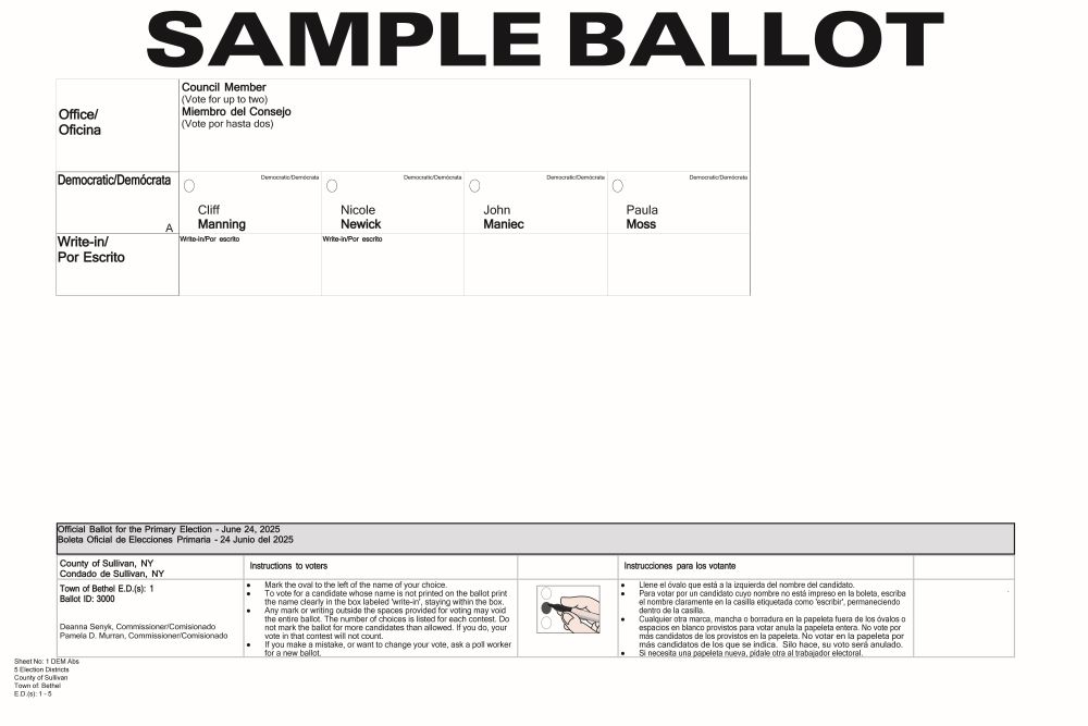 Democratic Bethel Sample Ballot for 2025 Primary