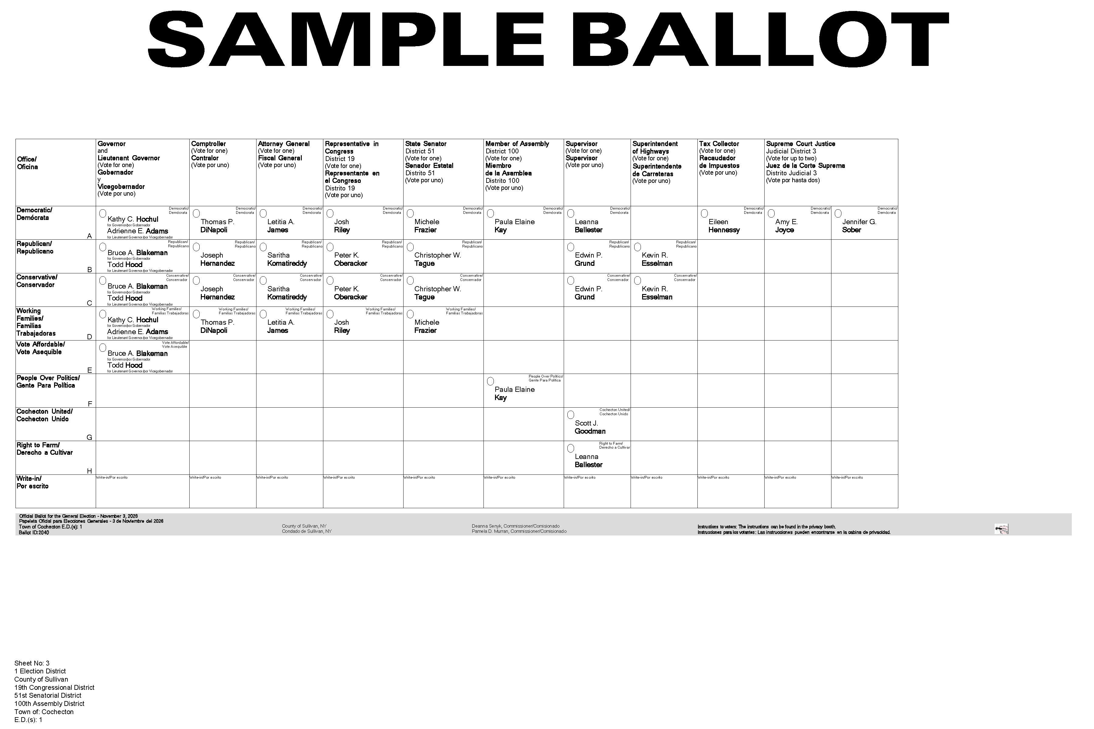 Town of Cochecton Sample Ballot