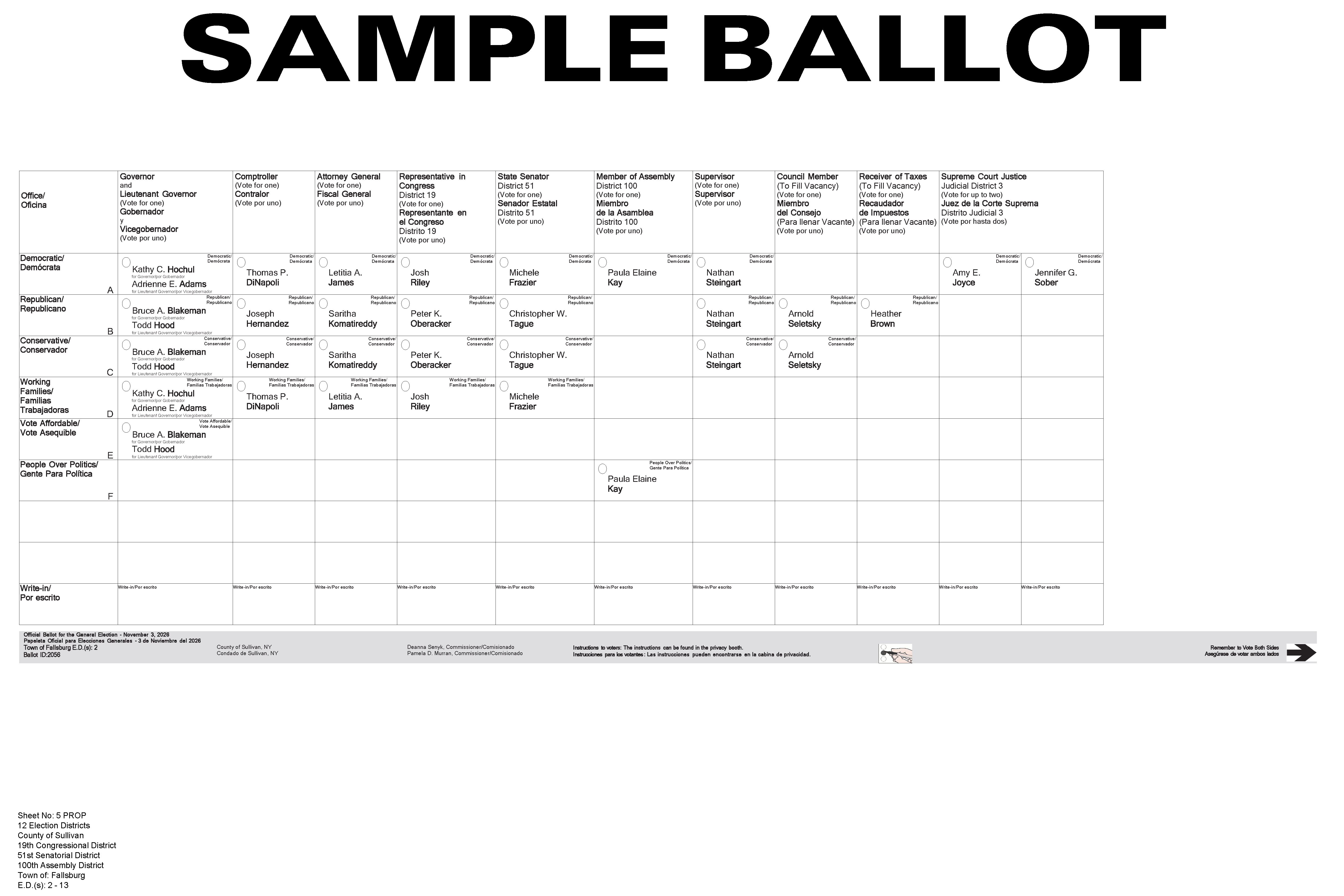 Town of Fallsburg Election Districts 2-13, Page 1