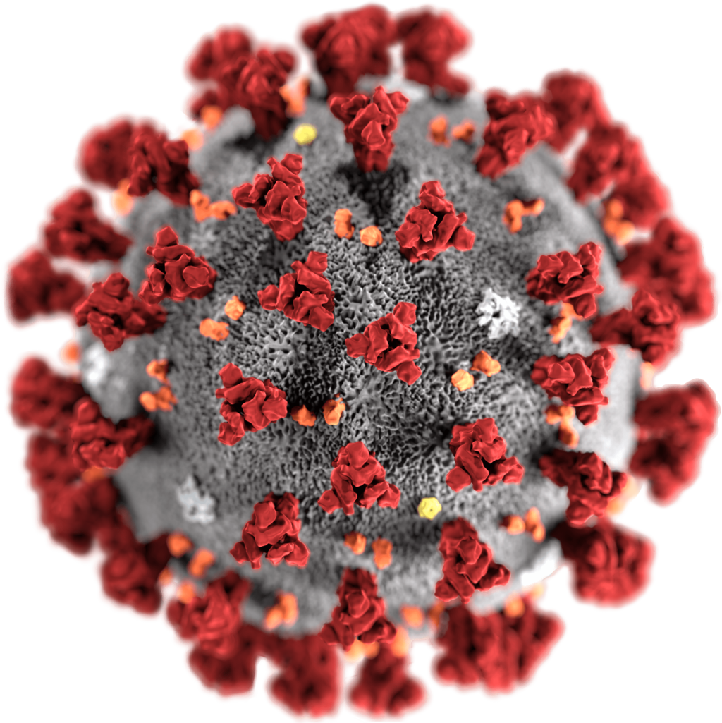2019 Novel Coronavirus