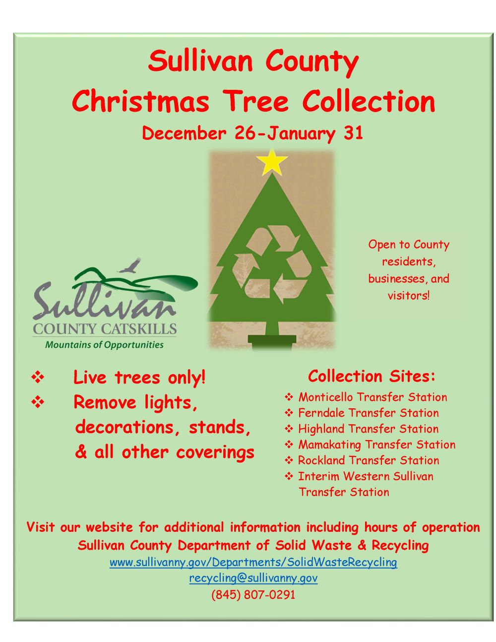 Christmas Tree Flyer