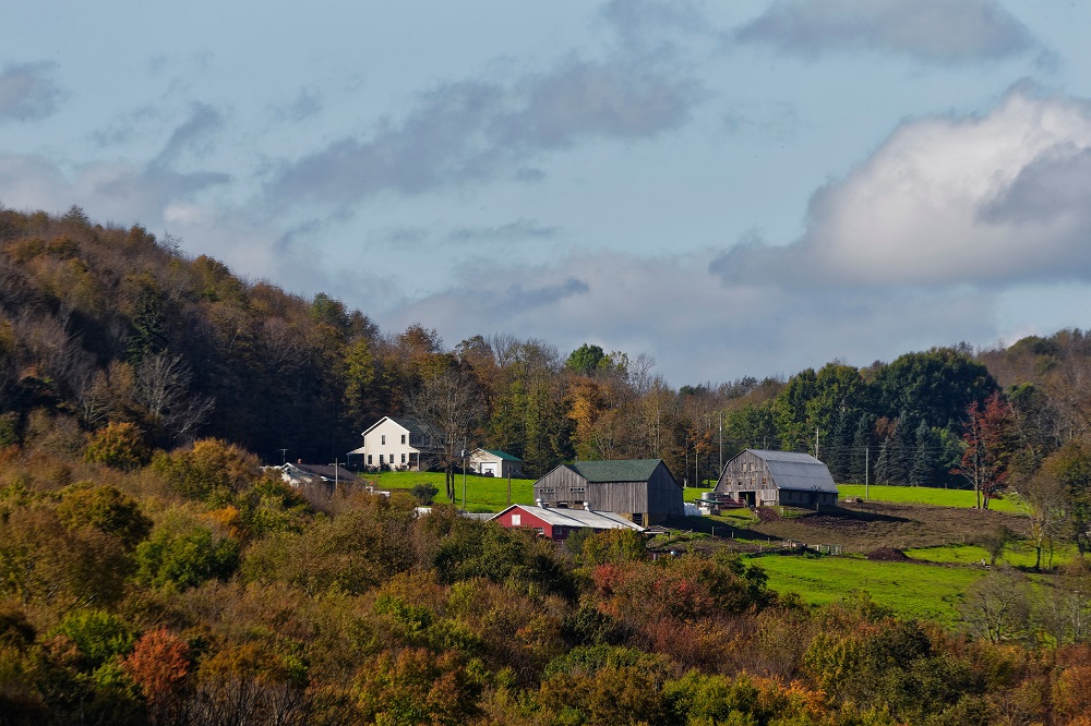 Hilly Acres Farm in Jeffersonville