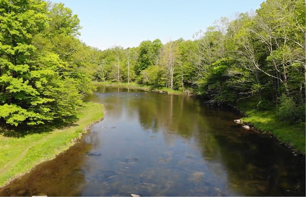 Neversink River
