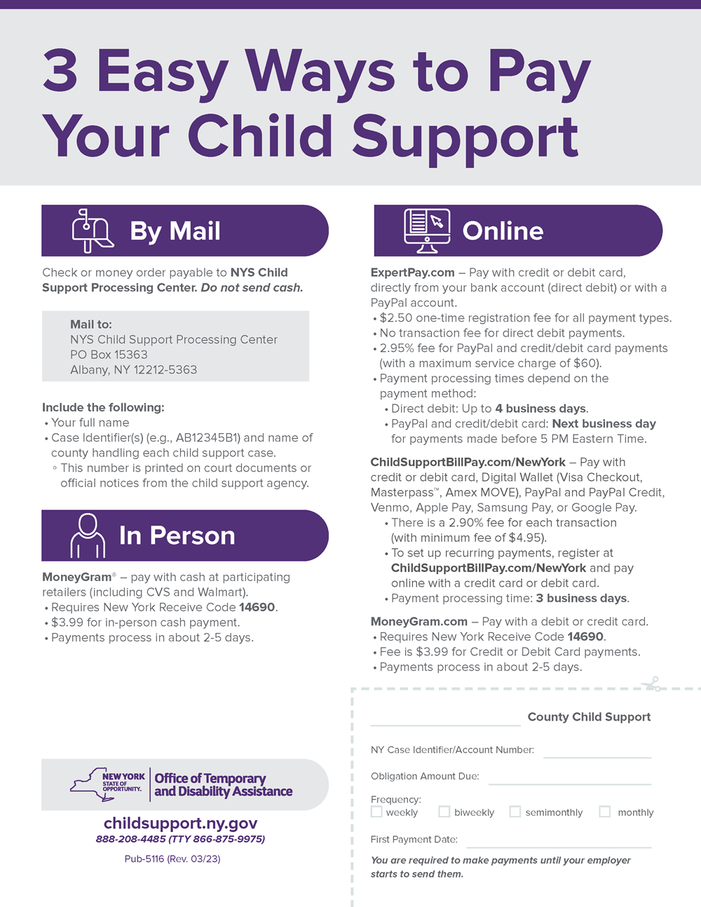 Child Support payment options