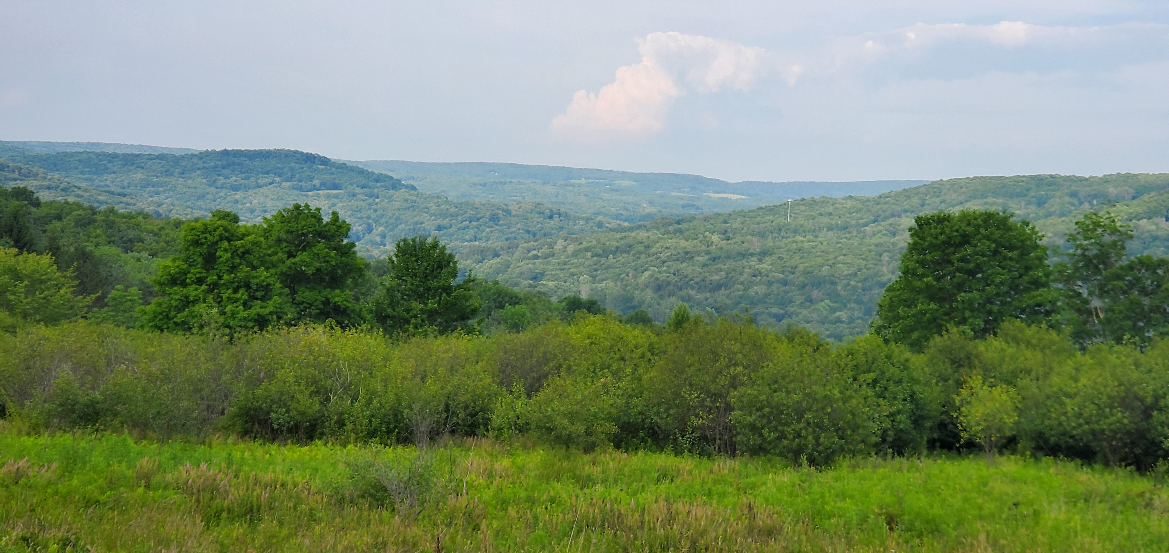 A scenic view in Sullivan County, NY