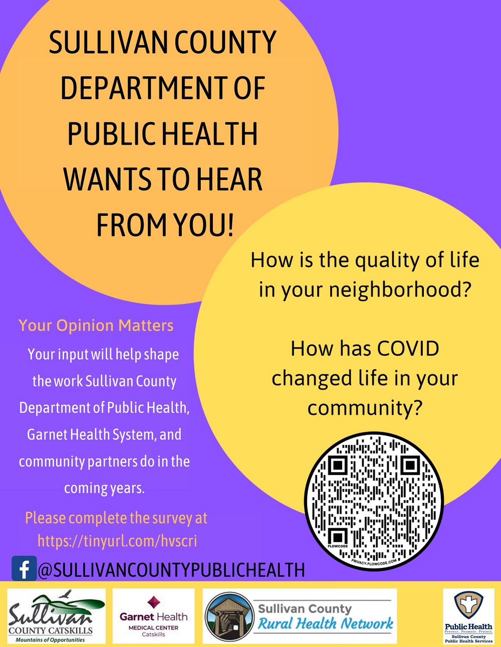 Health Survey Flyer