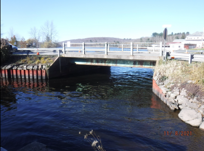 Swan Lake Bridge