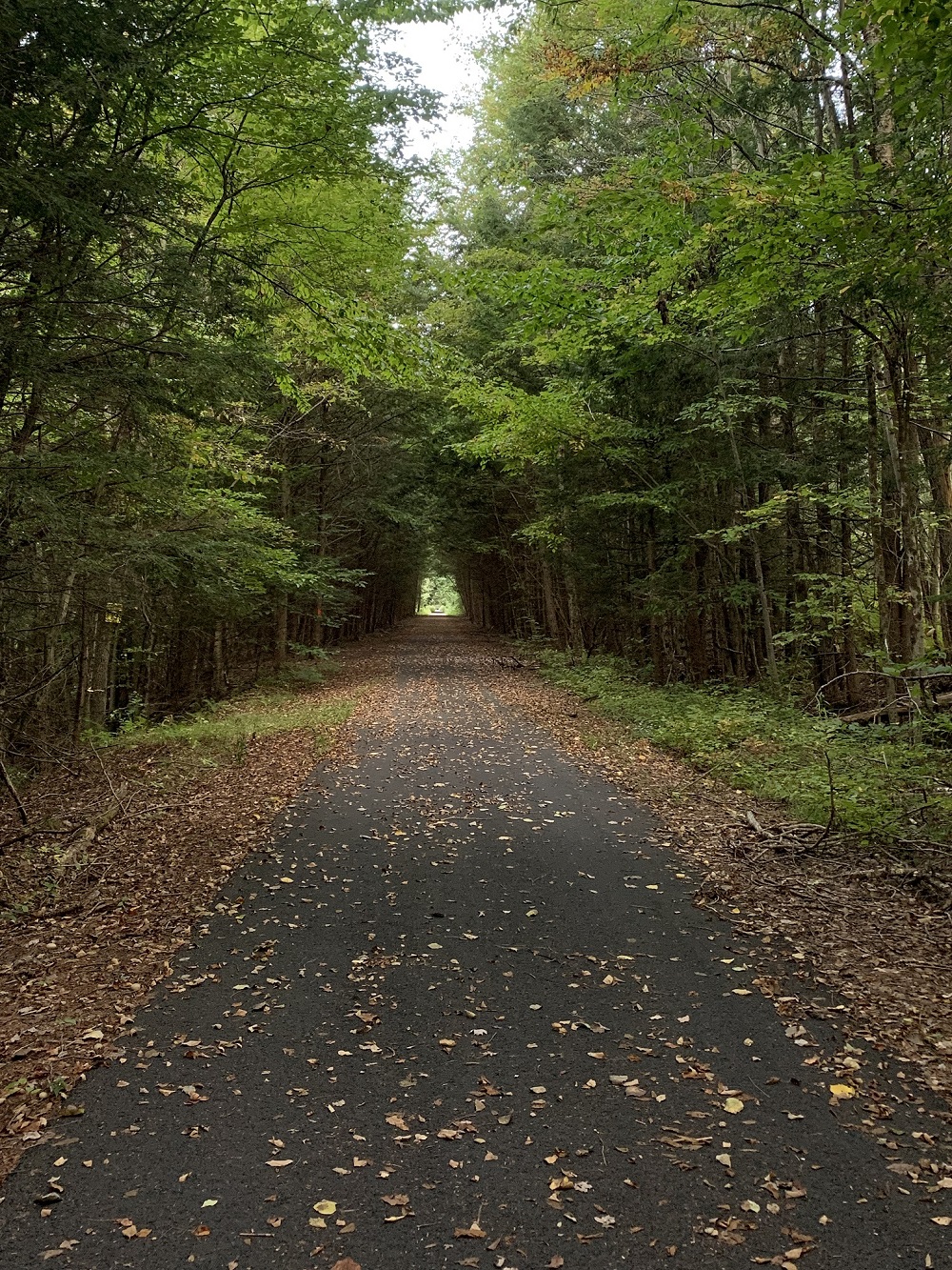 A walking path