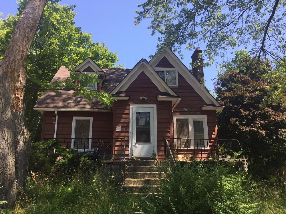 a house with bushes in front of a building