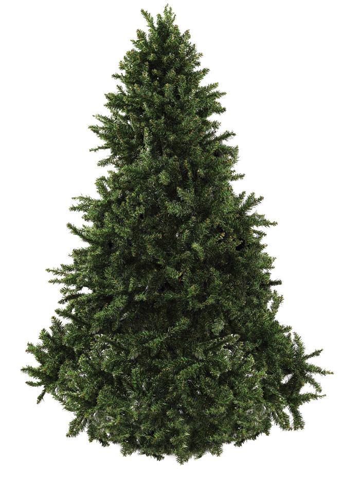 a close up of a christmas tree