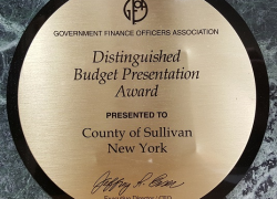 Budget Award