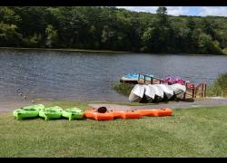 Boats available for rent at Lake Superior