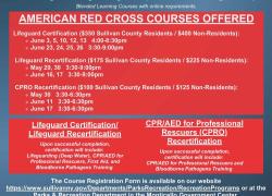 Lifeguard Courses