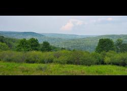 A scenic view in Sullivan County, NY