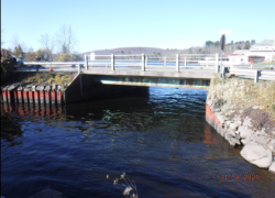 Swan Lake Bridge