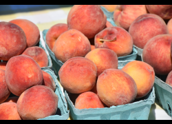 Farmers Market peaches